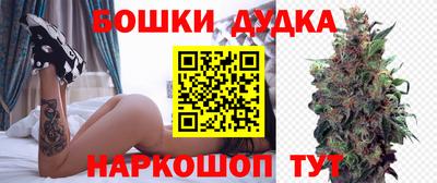 молекула духа Будённовск