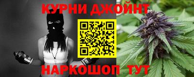 молекула духа Будённовск