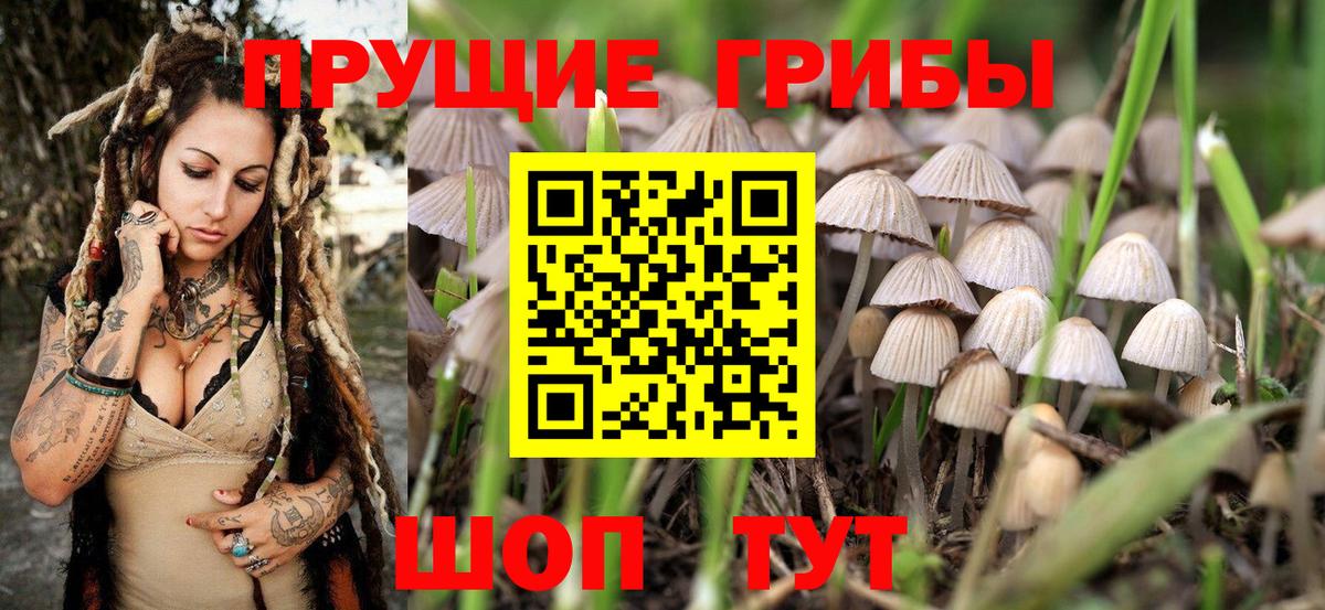 Ишимбай  Галлюциногенные грибы Magic Shrooms  Вход с VPN 