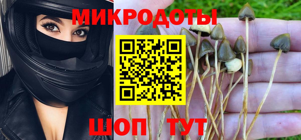 Галлюциногенные грибы мицелий Ишимбай
